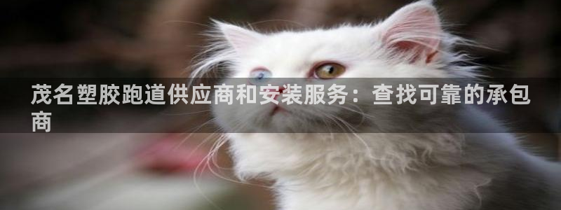 谈球吧红包激活码:茂名塑胶跑道供应商和安装服务:查找可靠的承